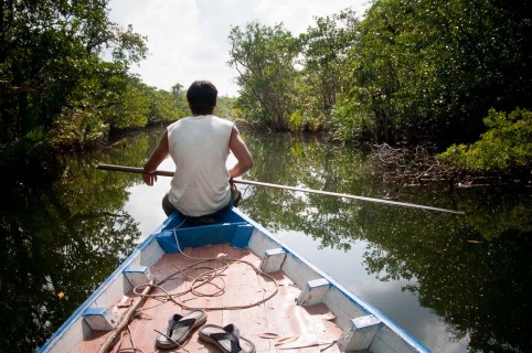 The mangroves and estuary of the Tatai river, Cambodia