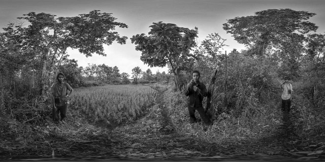 Prey Lang Forest - The last rice paddy before entering the forest of Prey Lang.